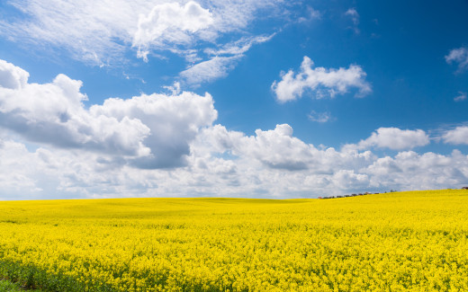 960385 (a): :2880x1800